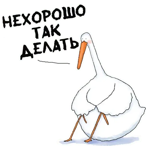 Net - Sticker 20