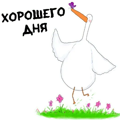 Net - Sticker 13