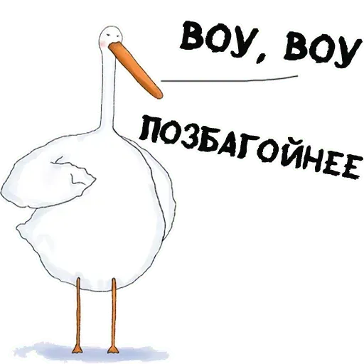 Net - Sticker 25