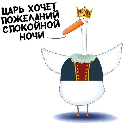 Net - Sticker 17