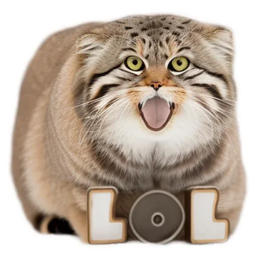 \\m4NulcH1ki🐾\\@ct1k3riX_x - Sticker