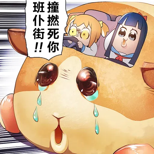 pop10 - Sticker 15