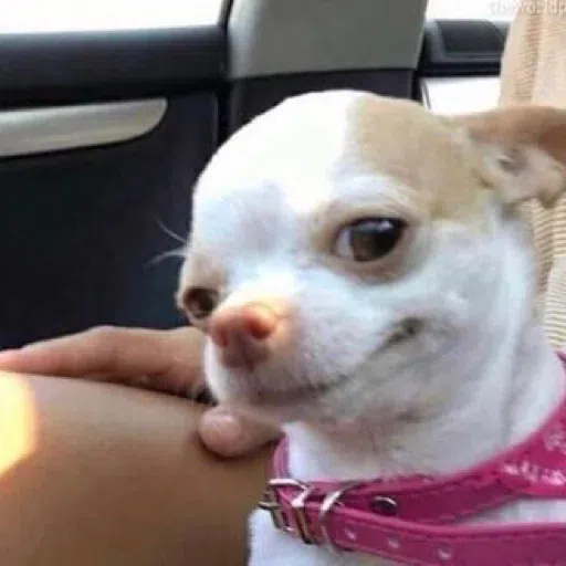 dogs with threatening aura - Sticker 12
