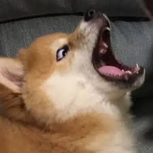dogs with threatening aura - Sticker 9