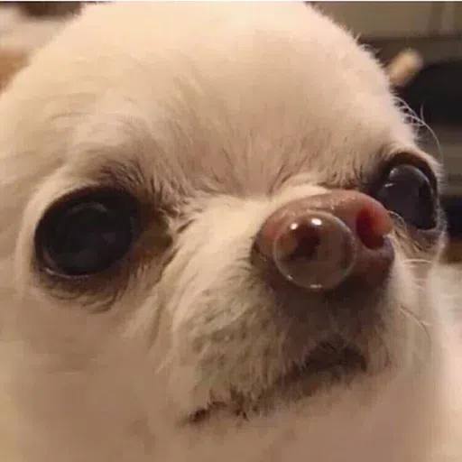 dogs with threatening aura - Sticker 11