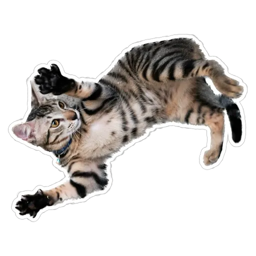 sgn_meow3 - Sticker 29