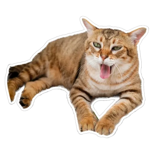sgn_meow3 - Sticker 25