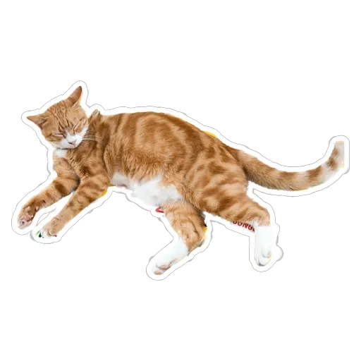 sgn_meow3 - Sticker 16
