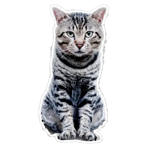 sgn_meow3 - Sticker 12