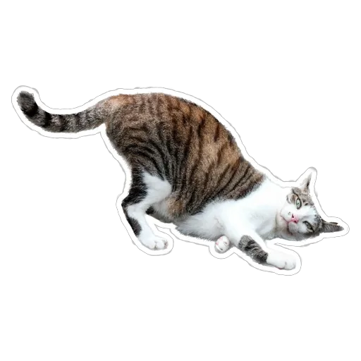 sgn_meow3 - Sticker 26