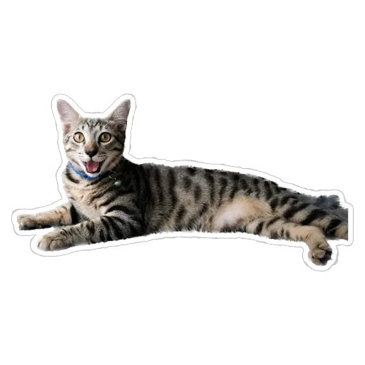 sgn_meow3 - Sticker 13