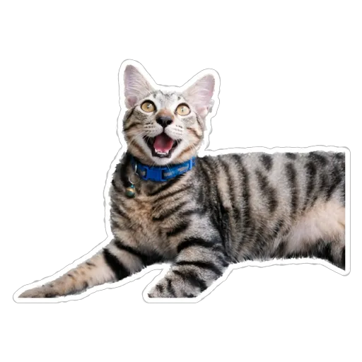 sgn_meow3 - Sticker 11