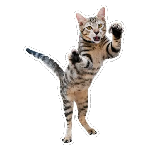 sgn_meow3 - Sticker 14