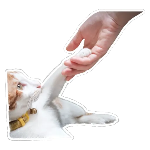 sgn_meow3 - Sticker 15