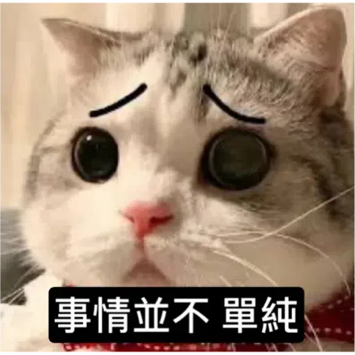 Cat - Sticker 9