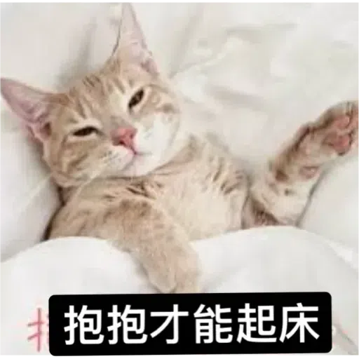 Cat - Sticker 21