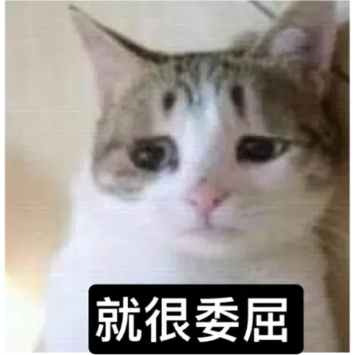 Cat - Sticker 28