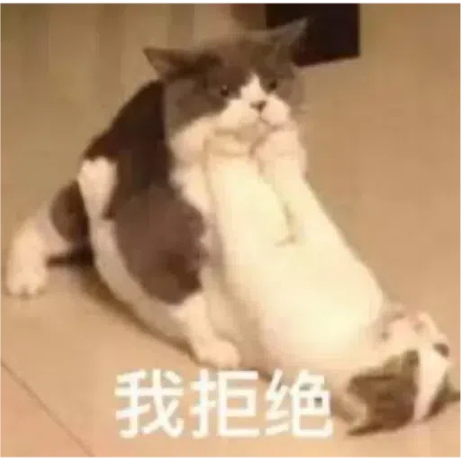 Cat - Sticker 29