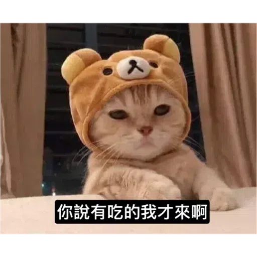 Cat - Sticker 27