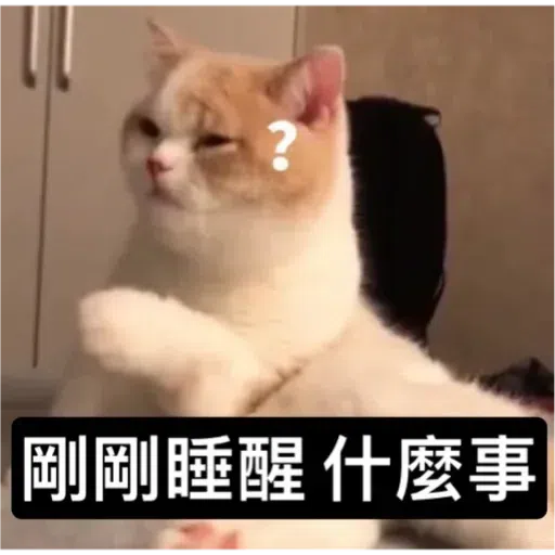 Cat - Sticker 12