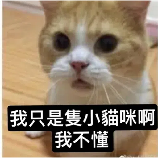 Cat - Sticker 22