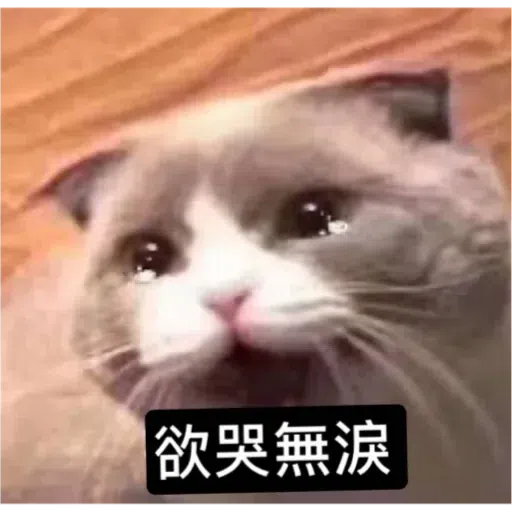 Cat - Sticker 24