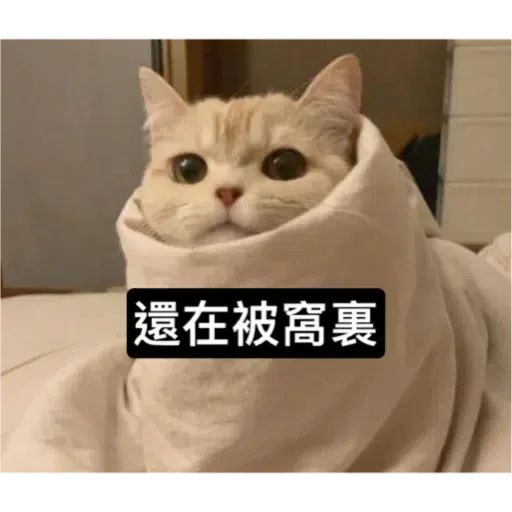 Cat - Sticker 14