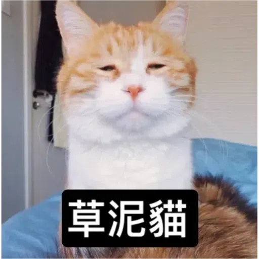 Cat - Sticker 15
