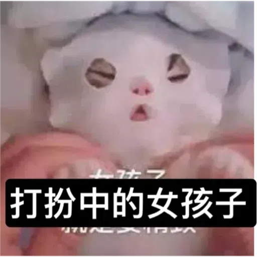 Cat - Sticker 16
