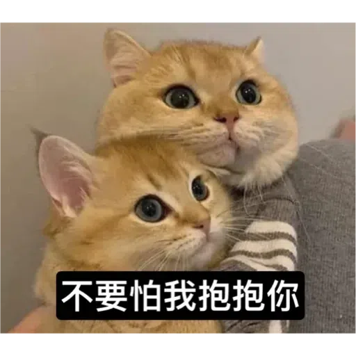 Cat - Sticker 19