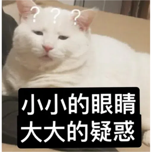 Cat - Sticker 13