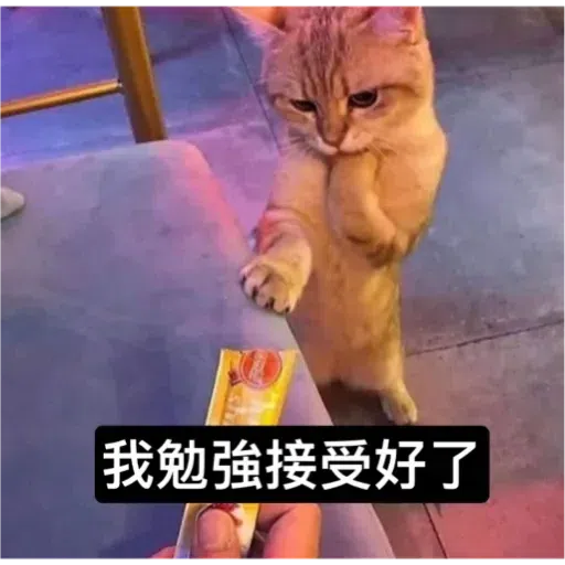 Cat - Sticker 30