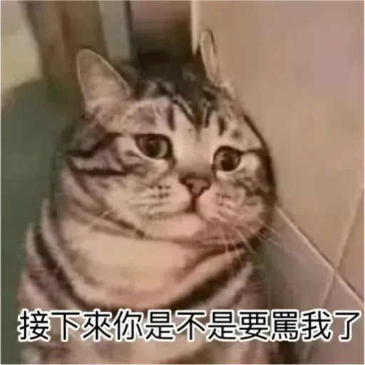 Cat - Sticker 17