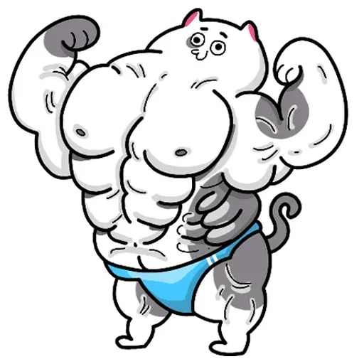 Loko Katz - Sticker 20