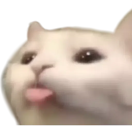 Random - Sticker 10