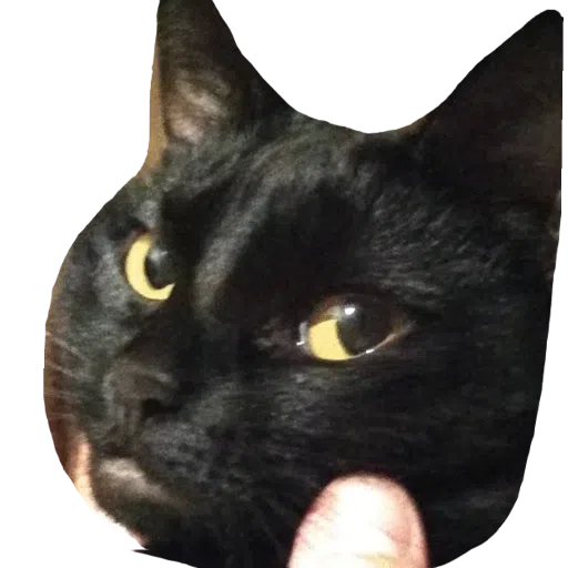 CatFaces 2 - Sticker 10