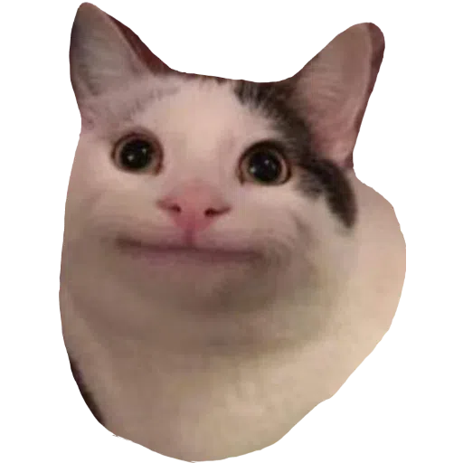 CatFaces 2 - Sticker 18