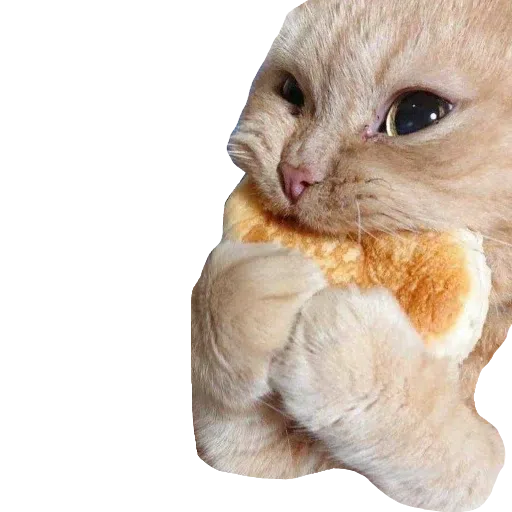 CatFaces 2 - Sticker 17