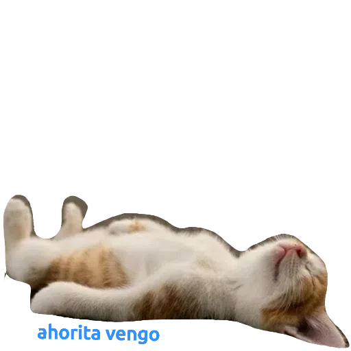 CatFaces 2 - Sticker 13