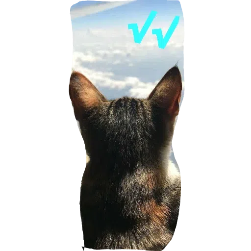 CatFaces 2 - Sticker 11