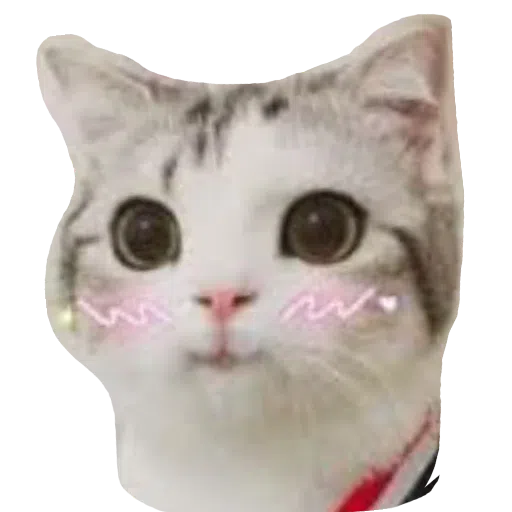 CatFaces 2 - Sticker 15
