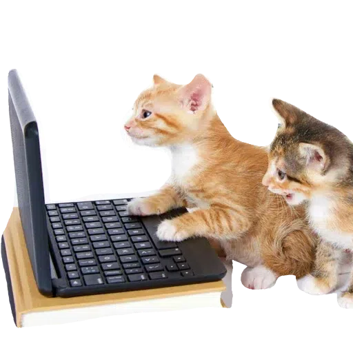 CatFaces 2 - Sticker 16