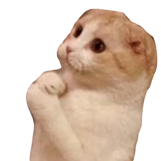 CatFaces 2 - Sticker 14