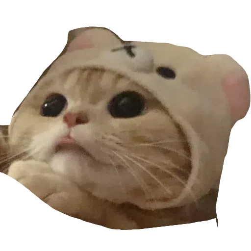 CatFaces 2 - Sticker 9