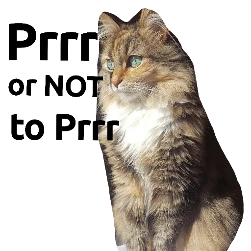 CatFaces 2 - Sticker 12