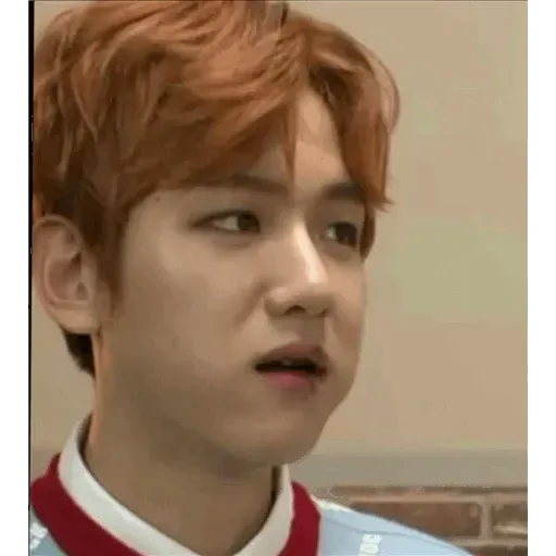 EXO MEME 4 - Sticker 24