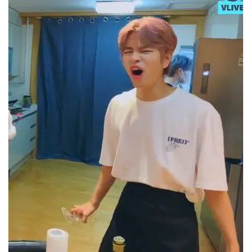 stray kids mood - Sticker