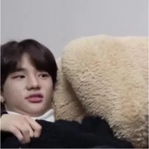 stray kids mood - Sticker