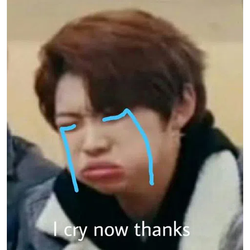 stray kids mood - Sticker 12