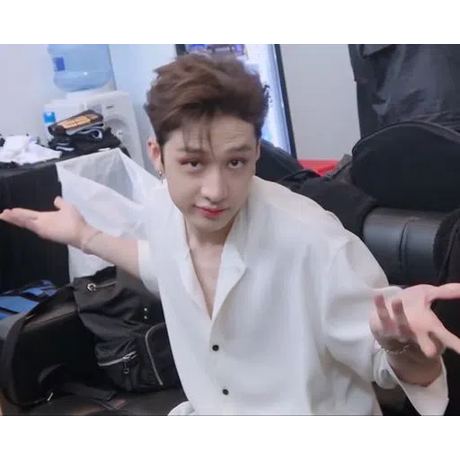 stray kids mood - Sticker